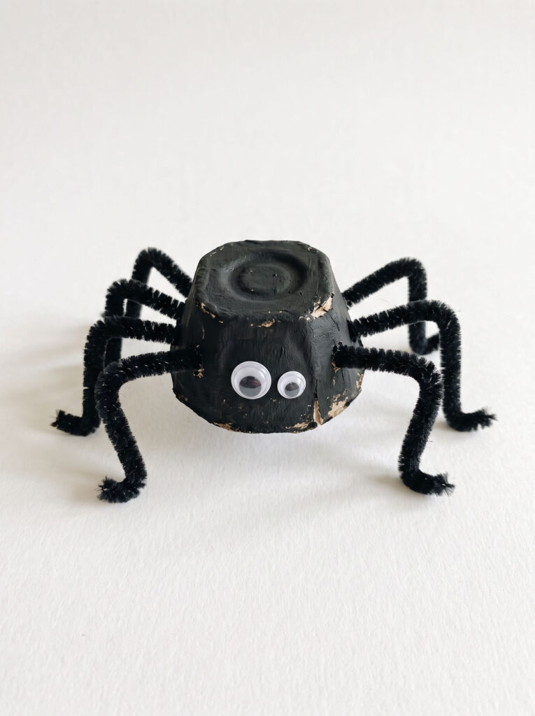 Egg Carton Spider