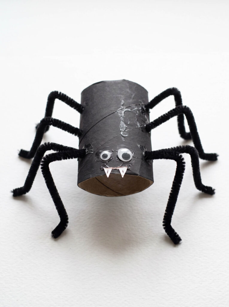 Cardboard Tube Spider