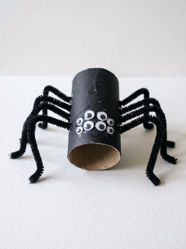 Pipe Cleaner Spider